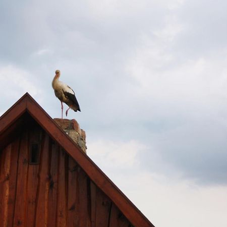 Pod Modrzewiem Pogorzelce Esterno foto