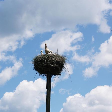 Pod Modrzewiem Pogorzelce Esterno foto