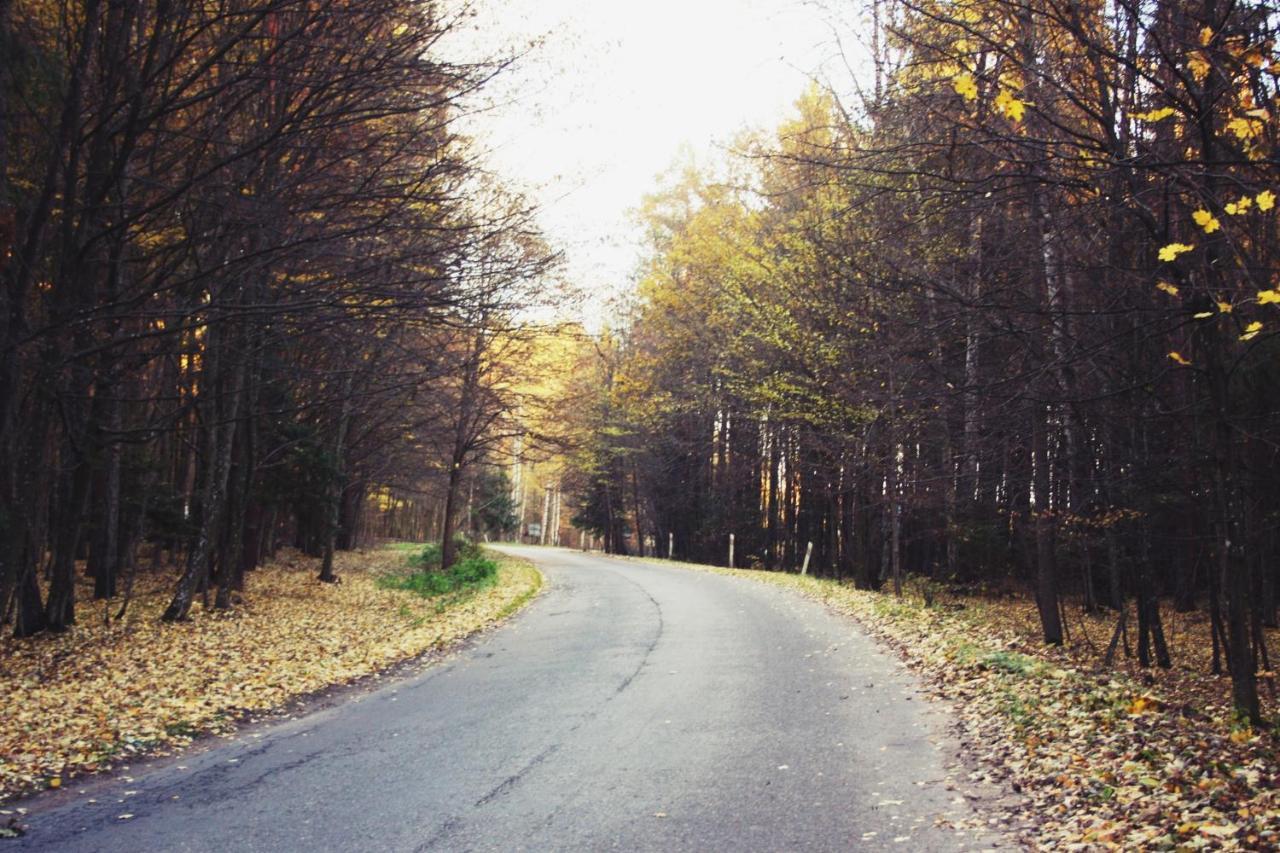 Pod Modrzewiem Pogorzelce Esterno foto